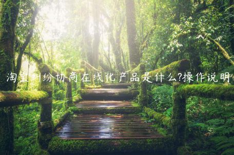 淘寶糾紛協(xié)商在線化產(chǎn)品是什么?操作說明